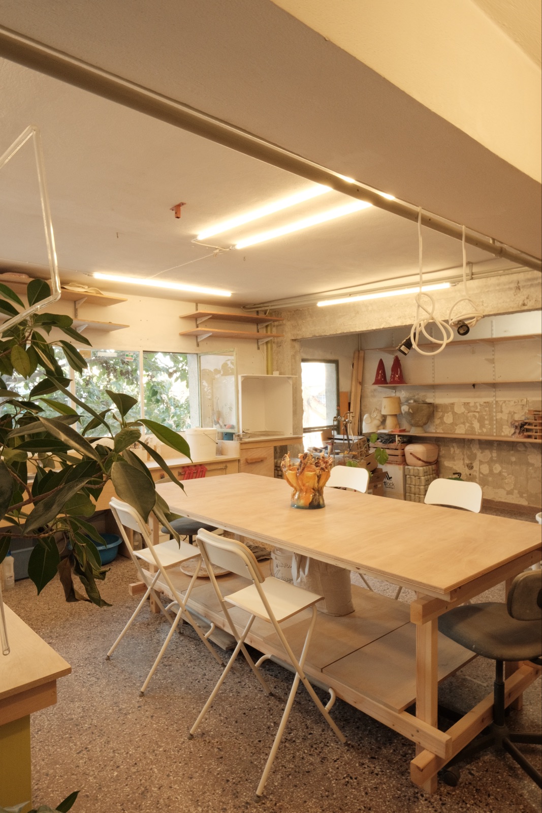 The room with the table, chairs and plants